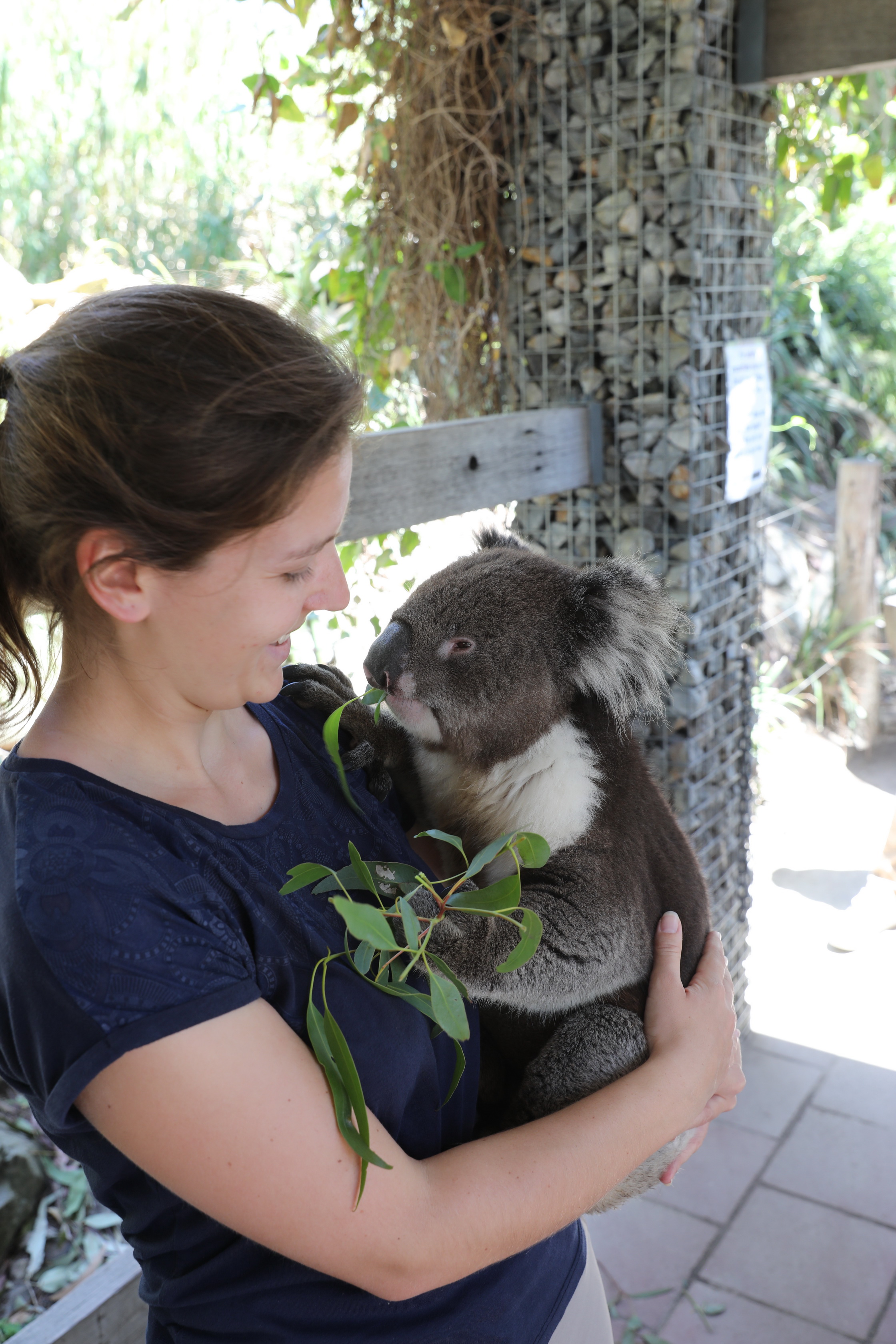 2019 11 22 13 35 04 Canon EOS 5D Mark IV 0005